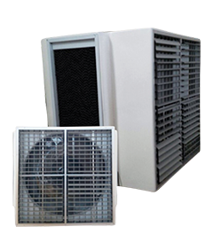 service image